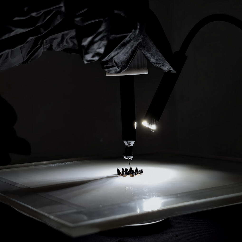 Living Code of Biosemiosis